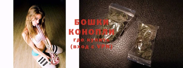 ешки Гусь-Хрустальный