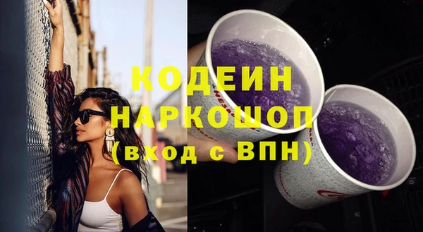 ешки Гусь-Хрустальный