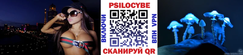 гидра   Данилов  Псилоцибиновые грибы Magic Shrooms  закладка 